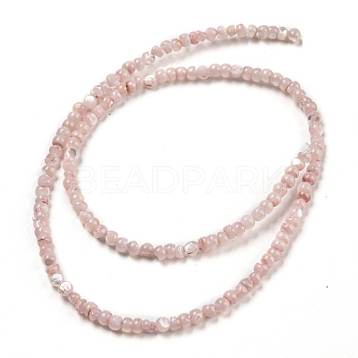 Natural White Shell Dyed Beads Strands BSHE-Z005-03D-1
