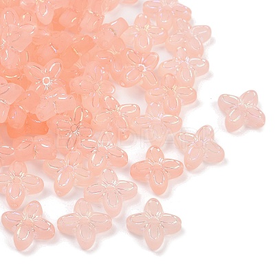 Frosted Transparent Acrylic Beads X1-OACR-P029-09B-02-1
