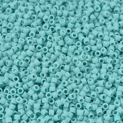MIYUKI Delica Beads X-SEED-J020-DB1586-1