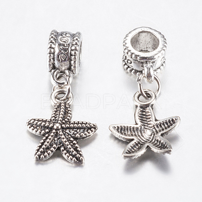 Tibetan Style Alloy European Dangle Charms PALLOY-F199-41AS-1