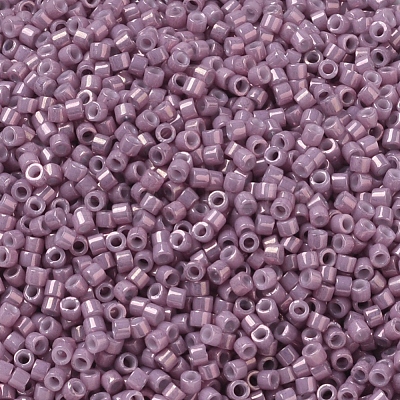 MIYUKI Delica Beads Small SEED-X0054-DBS0253-1