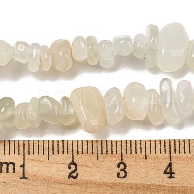 Natural White Moonstone Beads Strands G-P332-01-1