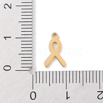 304 Stainless Steel Charms STAS-K286-01C-G-1