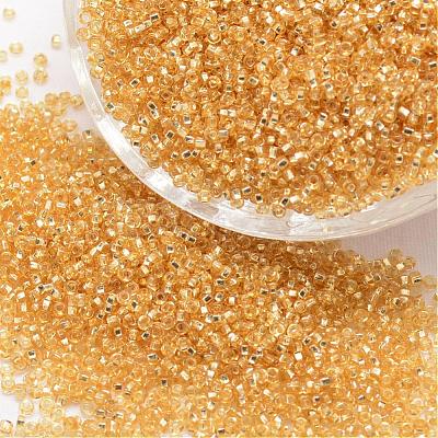 8/0 Round Glass Seed Beads SEED-J018-F8-62-1