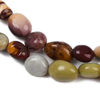 Natural Alashan Agate Beads Strands G-Q060-D19-01-1