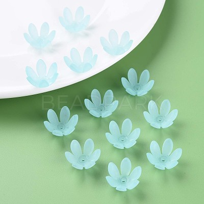 Transparent Acrylic Beads MACR-S373-47-D07-1