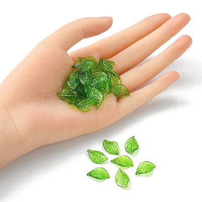 Transparent Acrylic Pendants TACR-YW0001-63-1