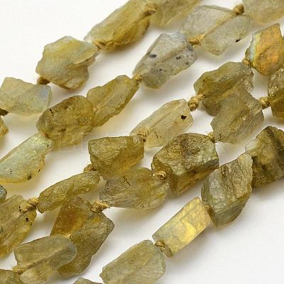 Natural Labradorite Beads Strands G-K202-11C-1