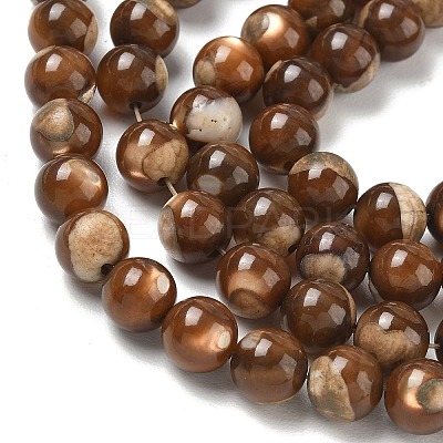 Natural Trochus Shell Beads Strands SH-CBAFEDD-02B-1