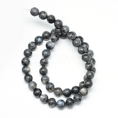 Natural Larvikite Beads Strands X-G-R345-8mm-33-1