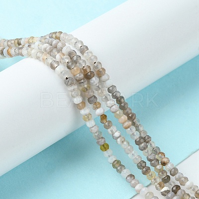 Natural Botswana Agate Beads Strands G-F748-B01-01-1