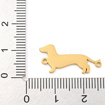 304 Stainless Steel Connector Charms STAS-Z076-22G-1
