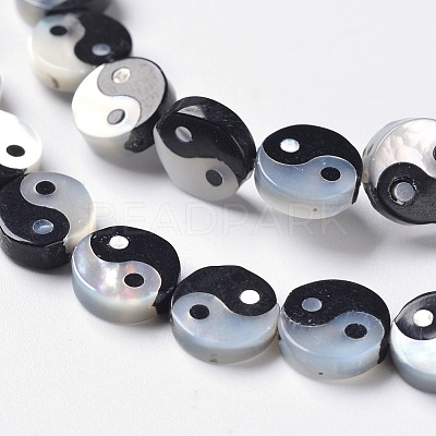 Feng Shui White Shell Bead Strands SSHEL-H066-02-1