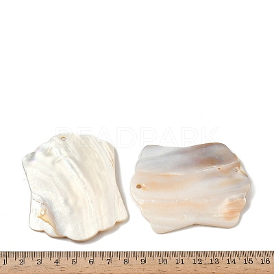 Natural Freshwater Shell Pendants SHEL-K006-55-1