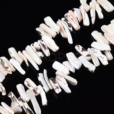 Natural Trochid Shell/Trochus Shell Beads Strands SSHEL-T014-41-1