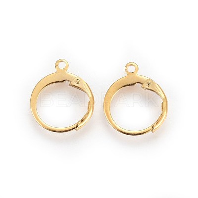 304 Stainless Steel Leverback Earring Findings STAS-I100-19G-1