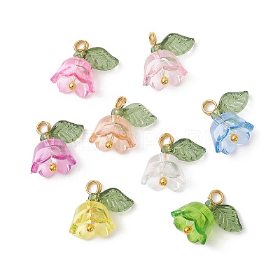 Transparent Acrylic Beads Pendants PALLOY-JF02432-1