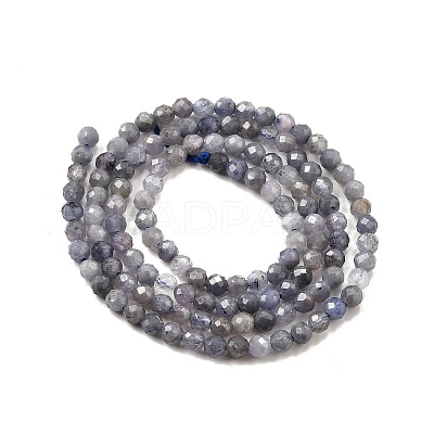Natural Tanzanite Beads Strands G-S387-A01-3mm-1