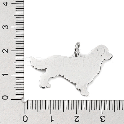 Non-Tarnish 304 Stainless Steel Pendants X-STAS-E205-10P-1