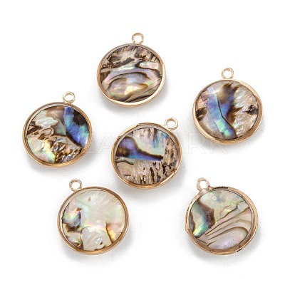 Natural Paua Shell Pendants KK-K252-06G-02-1