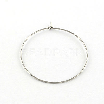 Tarnish Resistant 304 Stainless Steel Earring Hoop X-STAS-R083-01-1