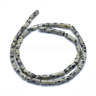 Natural Dalmatian Jasper Beads Strands G-F631-D23-1