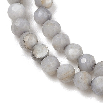 Natural Freshwater Shell Dyed Beads Strands SHEL-R100-12A-04-1