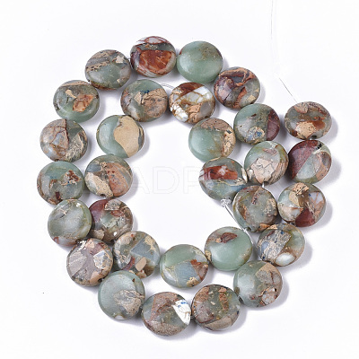Natural Aqua Terra Jasper Beads Strands G-S366-014-1