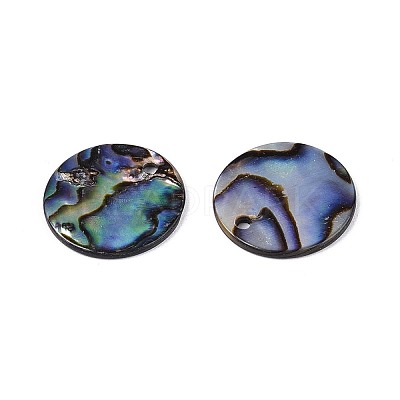Natural Paua Shell Disc Charms SSHEL-N040-19B-1