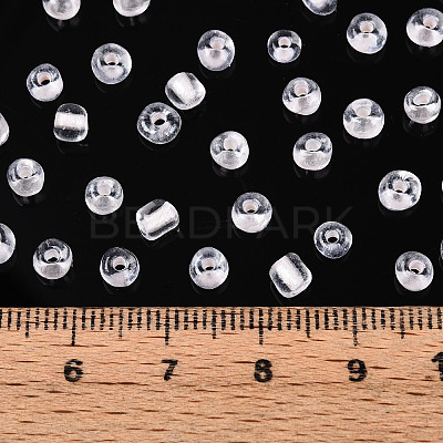 Glass Seed Beads SEED-T007-10C-1