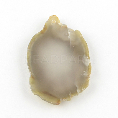 Dyed Mixed Shape Natural Agate Gemstone Big Pendants G-R300-05-1