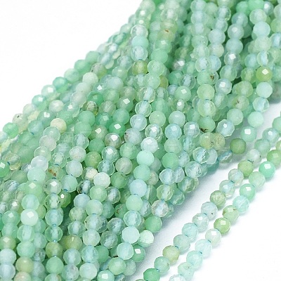 Natural Chrysoprase Beads Strands G-O180-01C-1