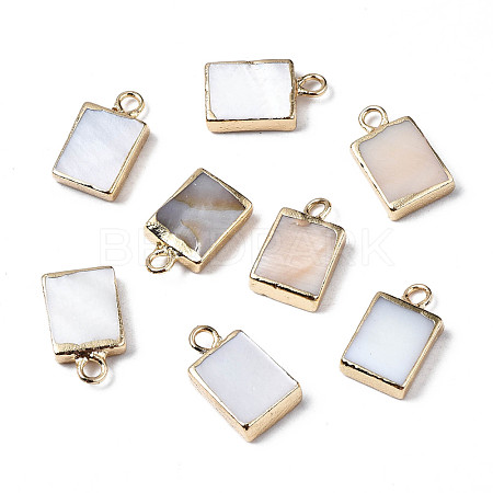 Natural Freshwater Shell Charms X-SHEL-N026-147-1