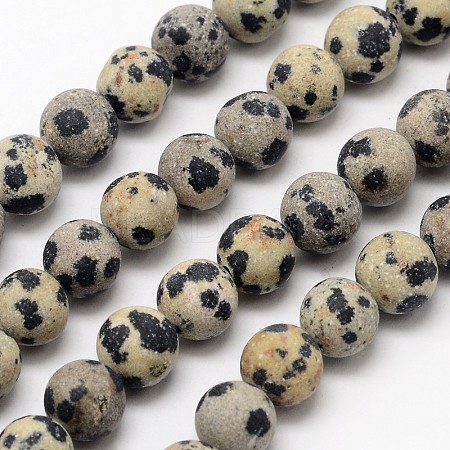 Natural Dalmatian Jasper Beads Strands G-D685-6mm-1