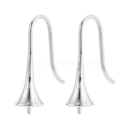 304 Stainless Steel Earring Hooks STAS-N108-30P-1