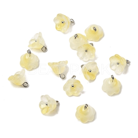 Glass Charms GLAA-G127-03B-1