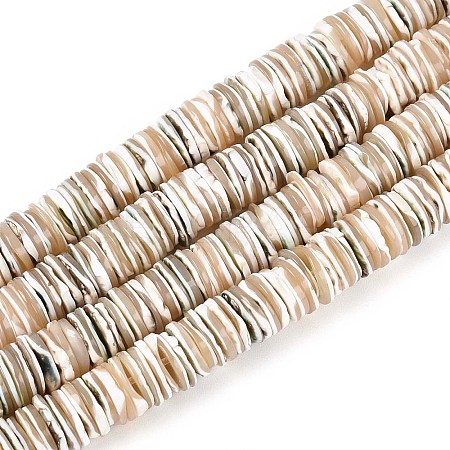 Luminous Natural Seashell Shell Beads Strands SSHEL-T017-34-1