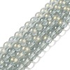 Glass Bead Strands GLAA-K068-01C-05-1