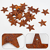 Rust Iron Pendants IFIN-WH0065-16D-4