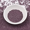 MIYUKI Delica Beads SEED-MY11-DB2295-2