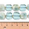 Natural Glass Beads Strands G-Z106-E01-5