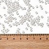 6/0 Transparent Glass Seed Beads SEED-F003-03A-07-4
