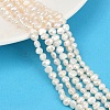 Natural Cultured Freshwater Pearl Beads Strands PEAR-P064-19D-06A-1