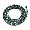 Natural Freshwater Shell Beads Strands X-SHEL-N003-25-B01-2