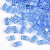 2-Hole Transparent Glass Seed Beads SEED-T004-04B-01-1
