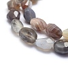 Natural Botswana Agate Beads Strands G-O170-32-3