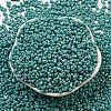 Glass Seed Beads SEED-K009-09A-02-2