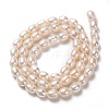 Natural Cultured Freshwater Pearl Beads Strands PEAR-L033-66-01-3