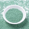 MIYUKI Delica Beads SEED-MY11-DB2125-2