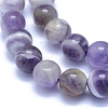 Natural Amethyst Beads Strands X-G-L552H-03B-2